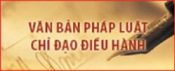 Văn bản chỉ đạo điều hành