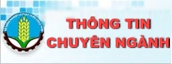 Thủ tục hành chính